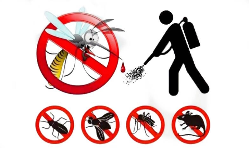 Disinfestazione adulticida contro insetti alati