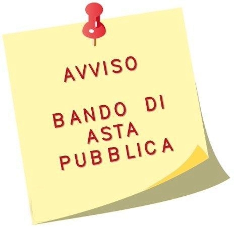 Bando di asta pubblica 